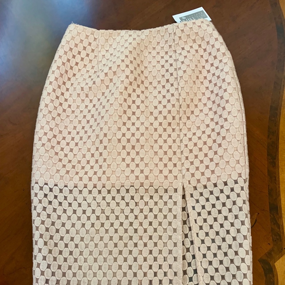 Intermix Exclusive Blush Pink Skirt
